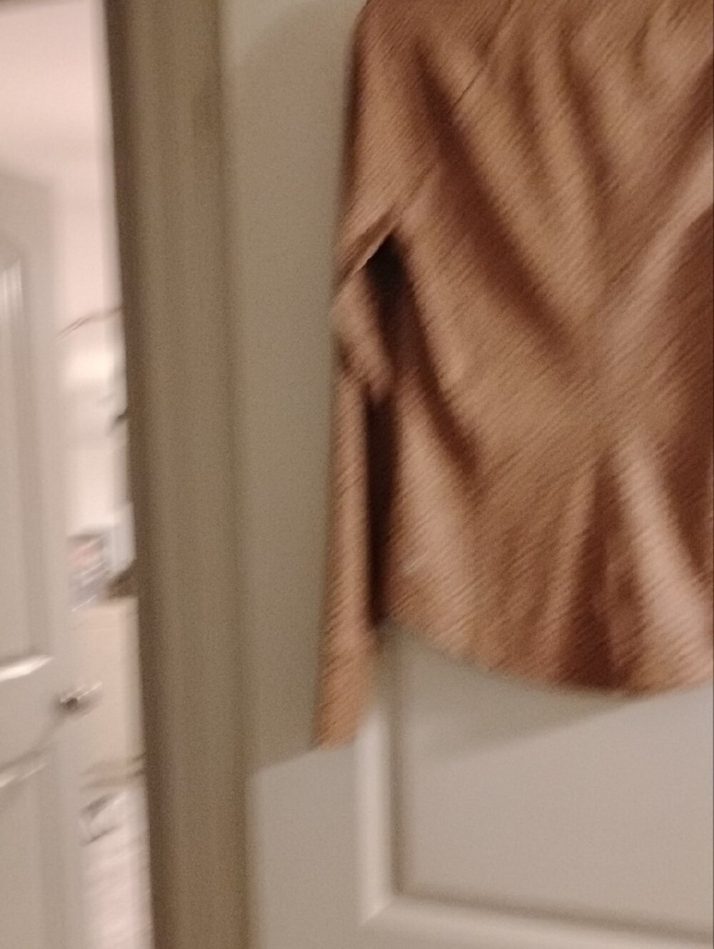 Athleta Brown Leopard-Print Jacket and Pants Set - Picture 7 of 9